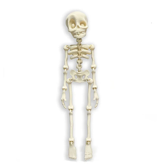 Skull Magnetix – Glow-in-the-Dark 3D Skeleton Fridge Decor (Movable Bones for Halloween & Everyday Fun!)
