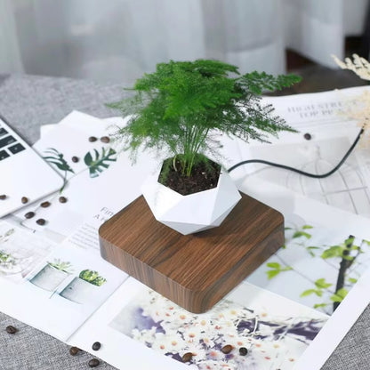 🌌 MagLev Bonsai Pot – The World’s First Floating Planter (No Plants Included)