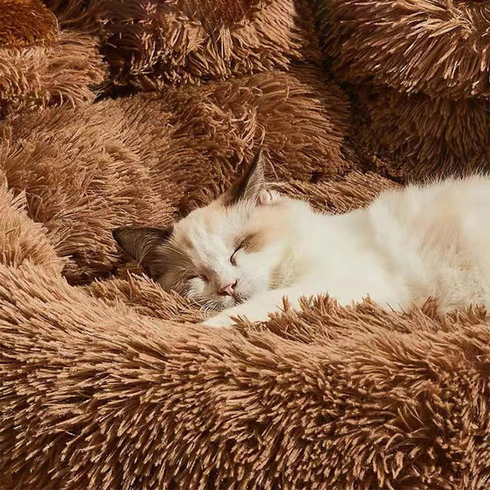 🐾 Luxury Cloud Pet Sofa – Ultra-Plush Washable Bed for Dogs & Cats!