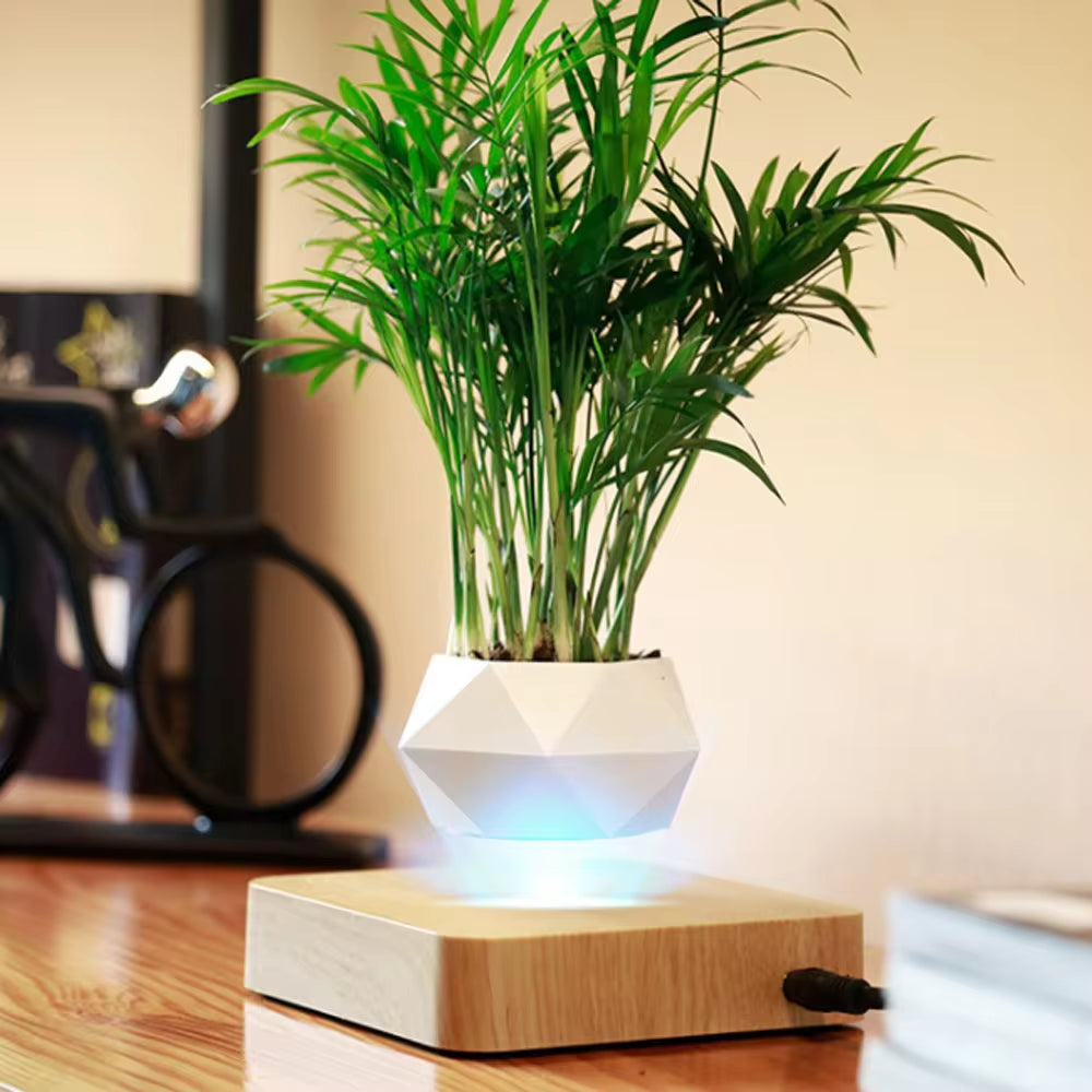 🌌 MagLev Bonsai Pot – The World’s First Floating Planter (No Plants Included)