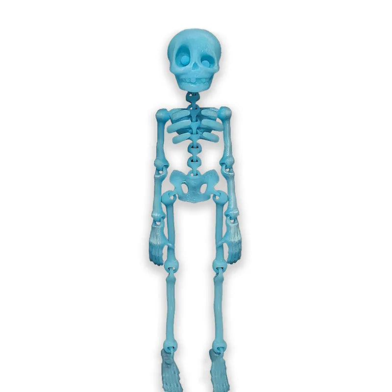 Skull Magnetix – Glow-in-the-Dark 3D Skeleton Fridge Decor (Movable Bones for Halloween & Everyday Fun!)
