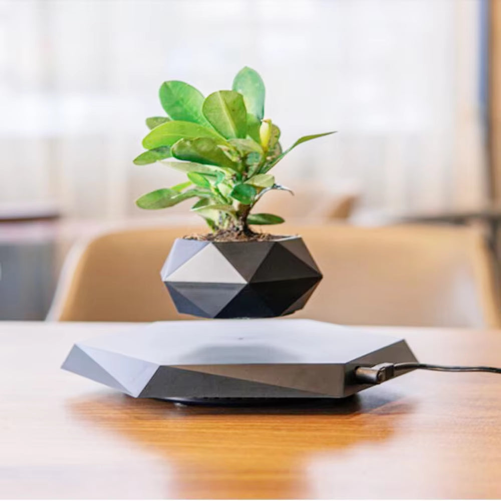 🌌 MagLev Bonsai Pot – The World’s First Floating Planter (No Plants Included)